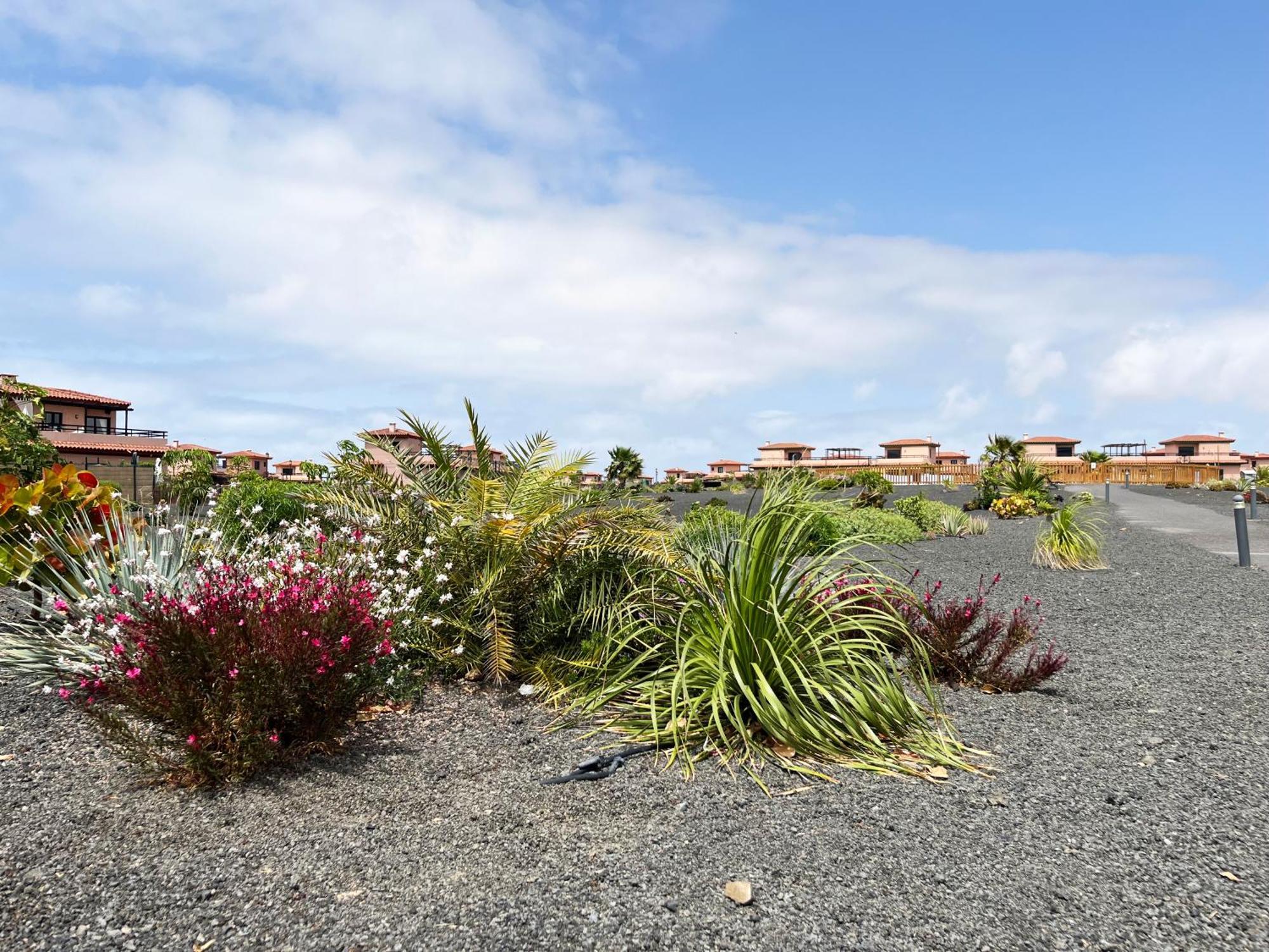 Casa Solayla Origomare Villa Lajares Eksteriør bilde
